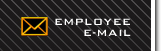 Employee Email Access