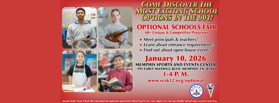 optional schools fair